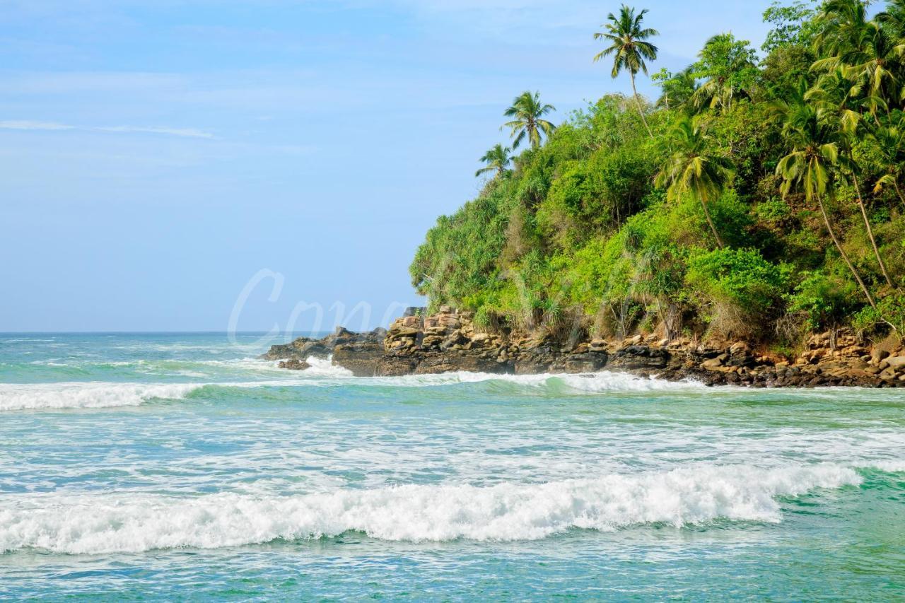 Grand Conch Villa Tangalle Kültér fotó